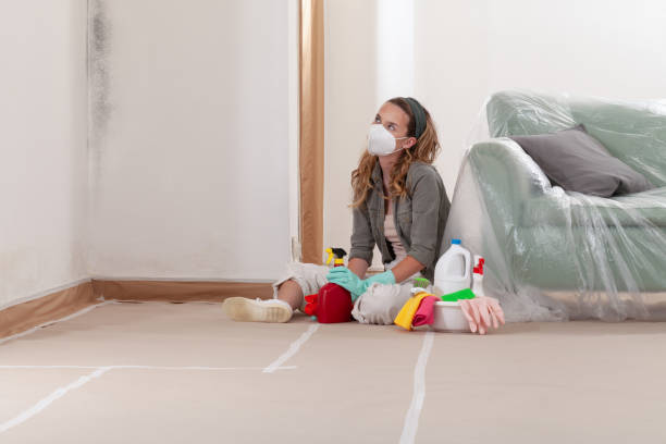 Reliable Basement Mold Remediation contractor in Chandler, AZ by Mold Remediation HQ